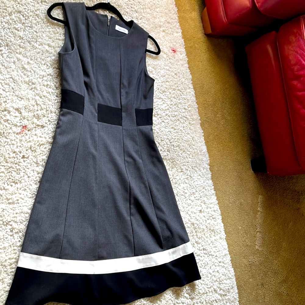 Calivin Klein flair dress